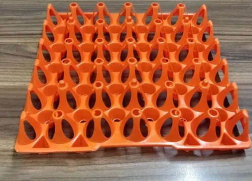 Egg Trays